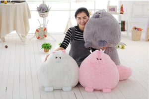 Discover the Joy of Plush Fluffy Persian Cat Toys