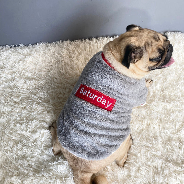 Why Your Dog Deserves a Stylish Pet Sweater
