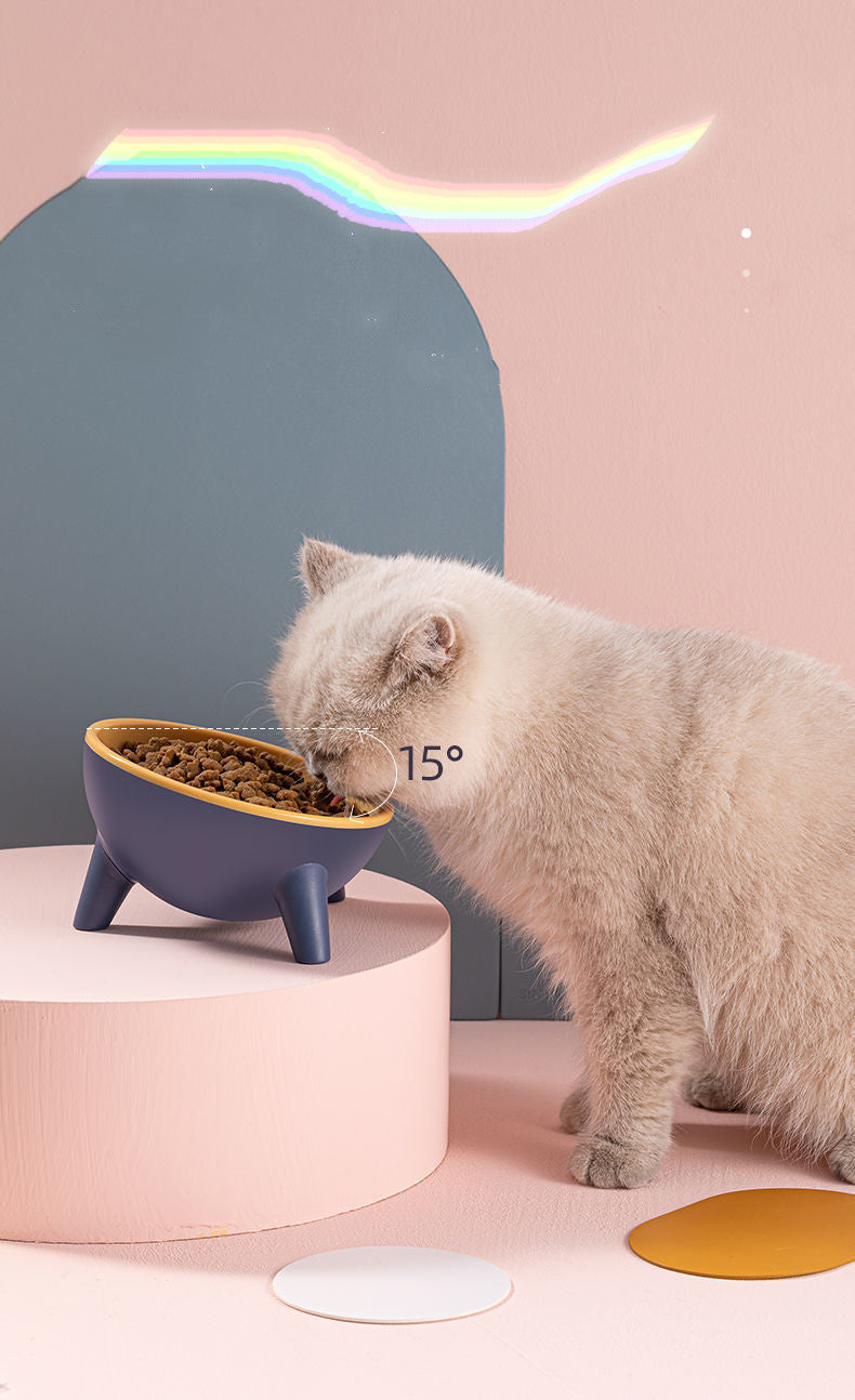 Enhance Your Pet's Dining Experience with Our Stylish Food Bowls