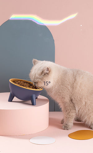 Enhance Your Pet's Dining Experience with Our Stylish Food Bowls