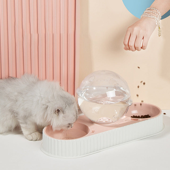 Revolutionize Your Pet's Feeding Routine with Our Automatic Feeder