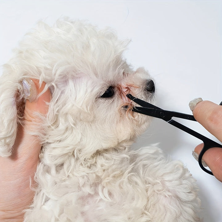 Discover the Benefits of the Pet-friendly Eye Grooming Brush
