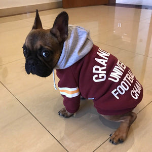 The Perfect Winter Wardrobe Addition for Your Furry Friend