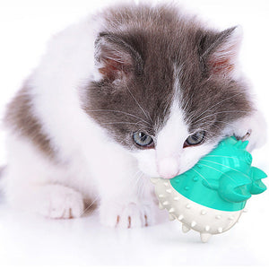 Engage Your Cat with Electric Vibration Toys