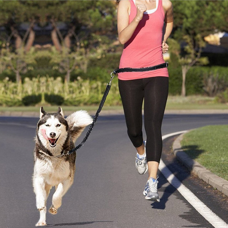 Harness Collar Jogging Adjustable Pet Leash: Your Pet's Best Companion
