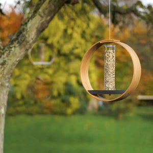 Discover the Joy of Birdwatching with Our Simple Hanging Bird Feeder