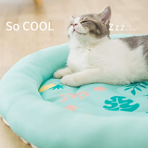 Cool Comfort for Your Furry Friend