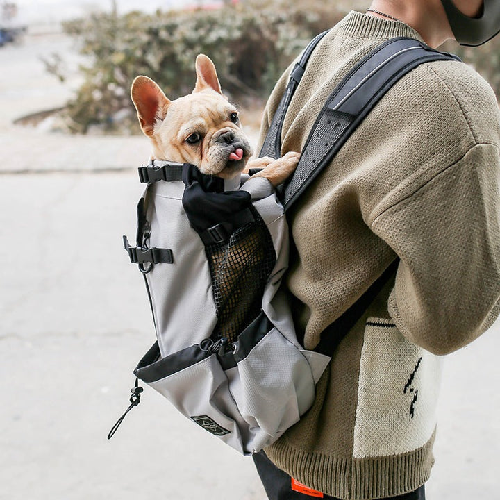 The Ultimate Pet Dog Carrier Bag for Adventurous Tails