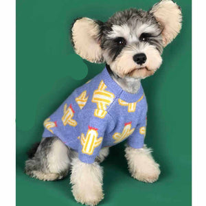Embrace the Cuteness with Our Pet Cactus Sweater