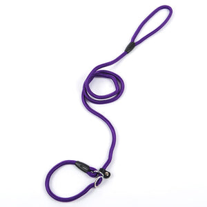 The Ultimate Dog Leash for Your Furry Companion