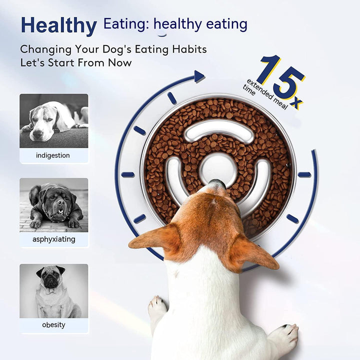 Transform Your Pet's Mealtime with Our Pet Slow Feeding Bowl