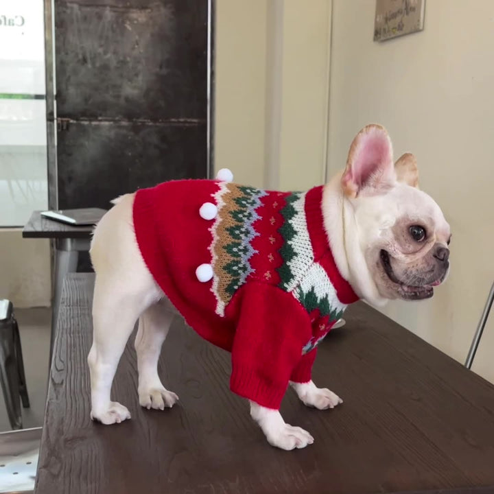 The Must-Have Pet Christmas Sweater