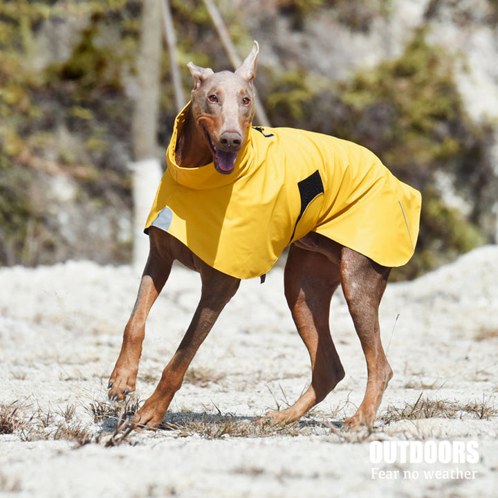 Why Your Dog Needs the Pet Shell Waterproof Jacket