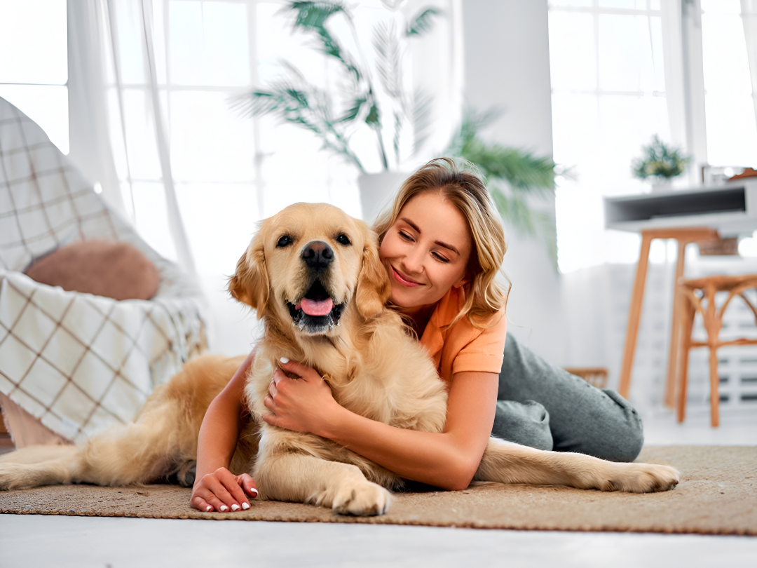Fun, Comfort, and Care for All Pets – Ready Set Tails