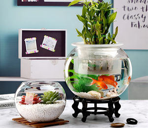 Enhancing Your Aquarium with the Right Accessories