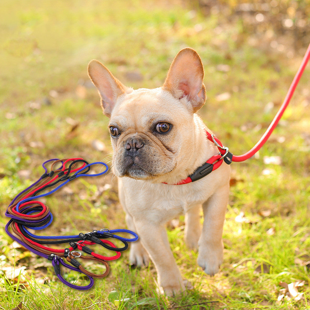 Dog pet leash