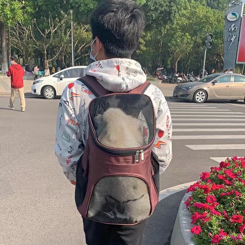 Breathable Puppy Dog Carrier Backpack