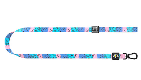 Pet cat and dog leash