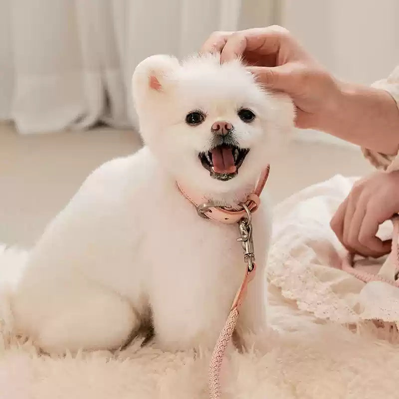 Dog Leather Hand Holding Rope Leash