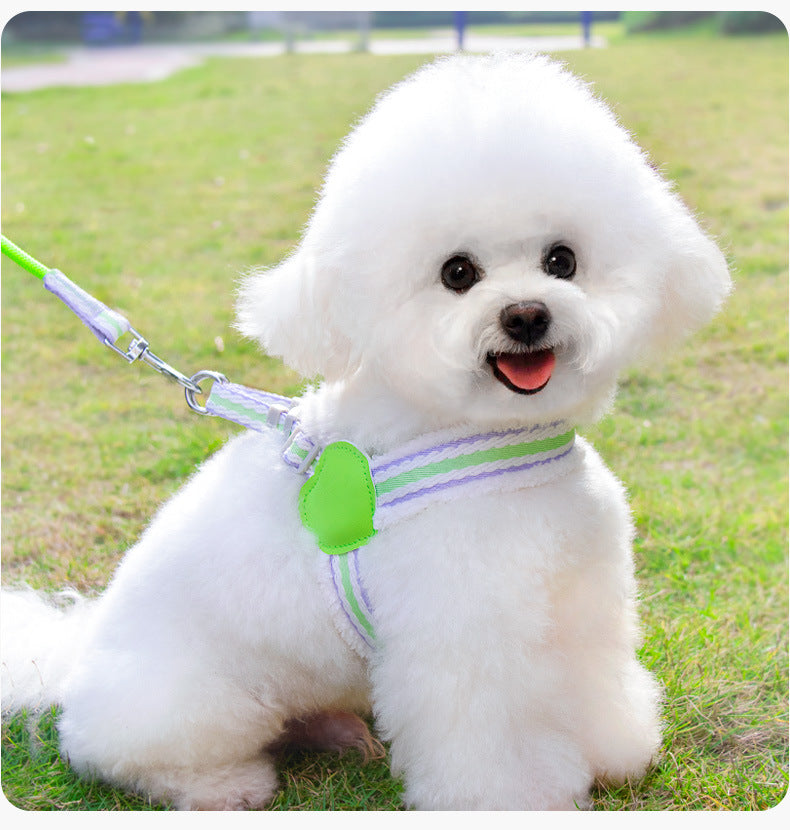 Dog Summer Breathable Leash