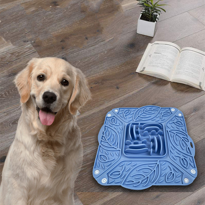 Pet Silicone Multi-functional Tableware