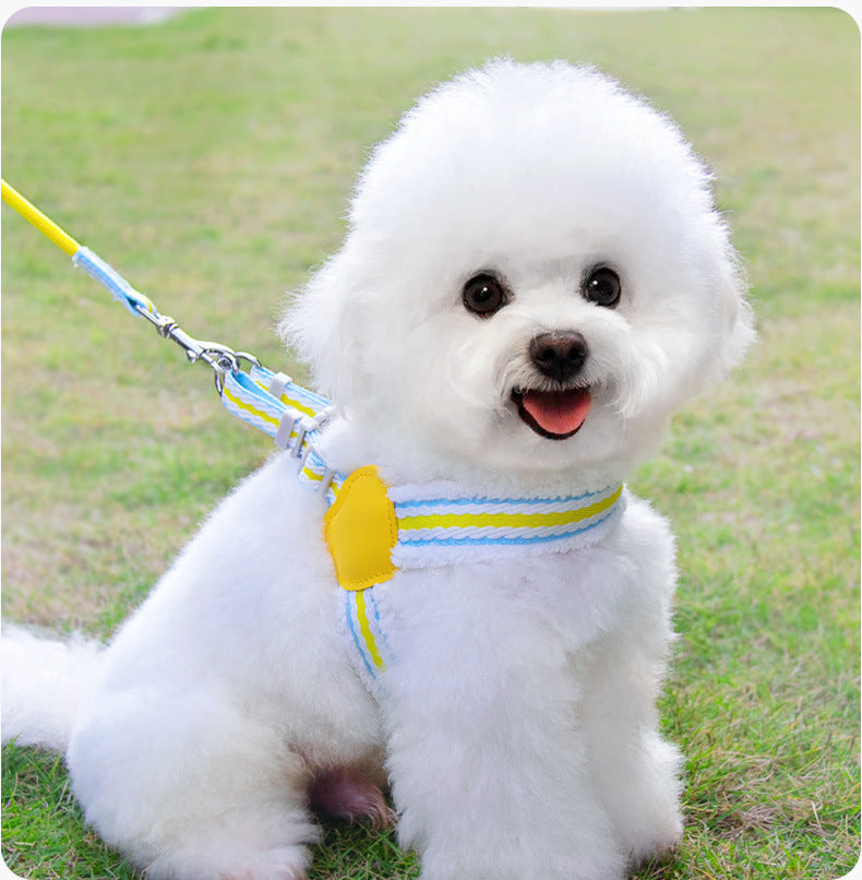 Dog Summer Breathable Leash