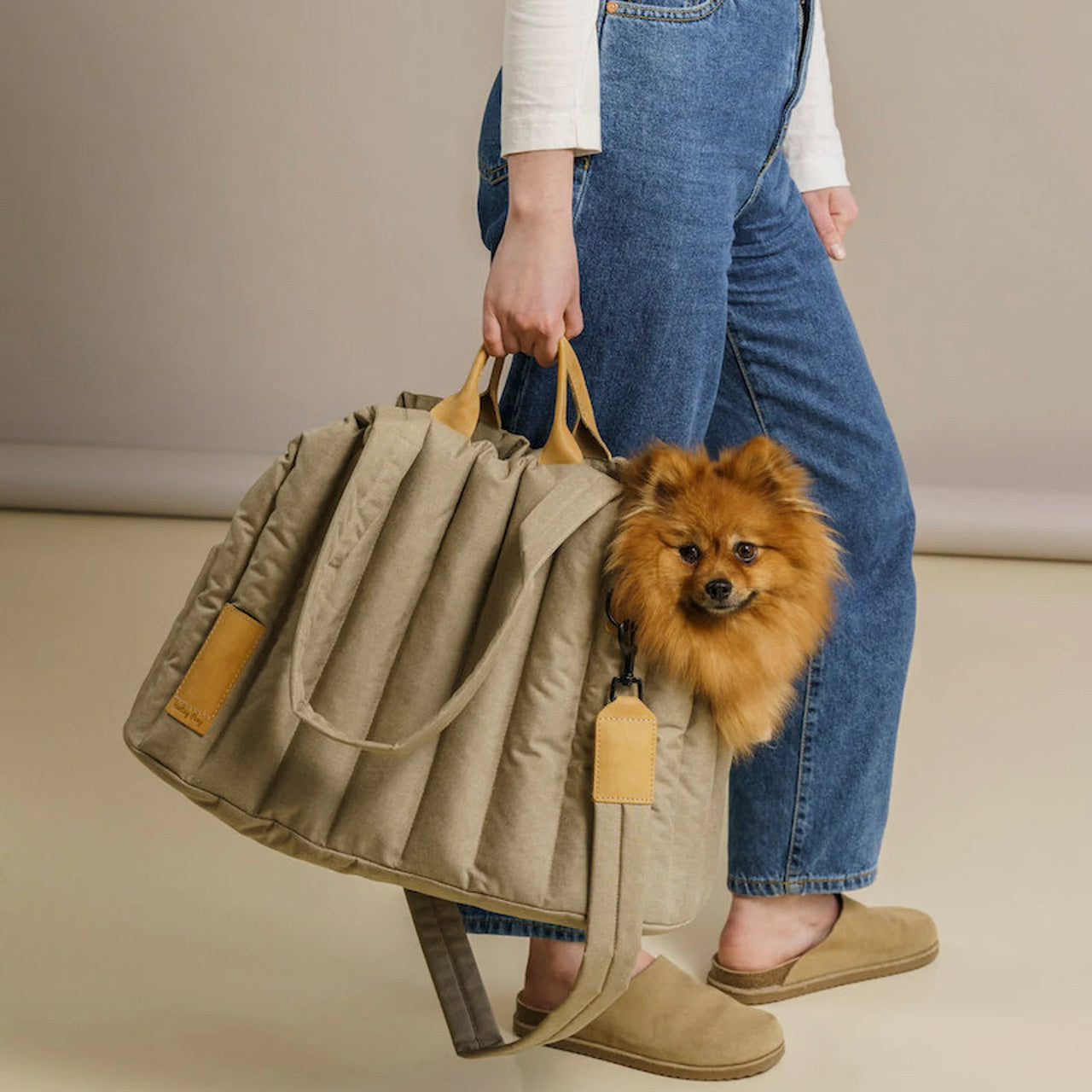 Portable Handbag Carrier Dog Bag