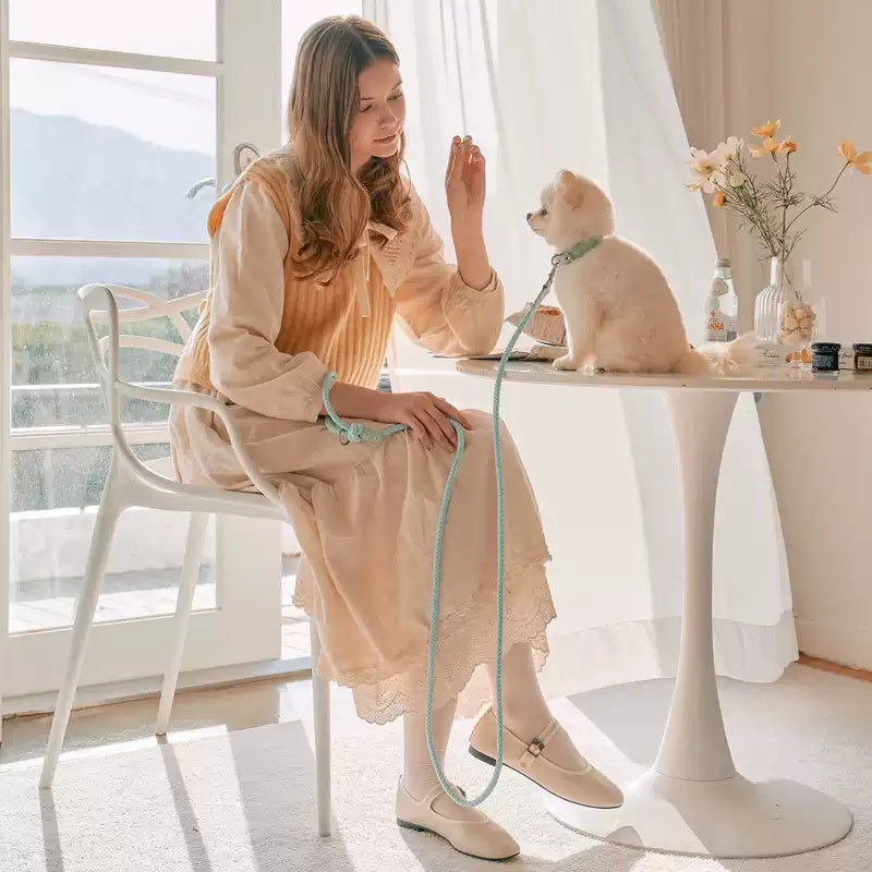 Dog Leather Hand Holding Rope Leash