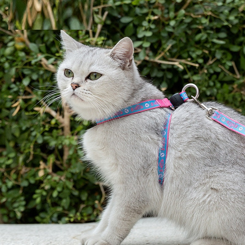 Pet Cat Bell Chest Strap Teddy Leash