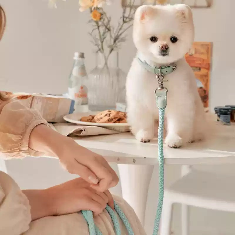 Dog Leather Hand Holding Rope Leash