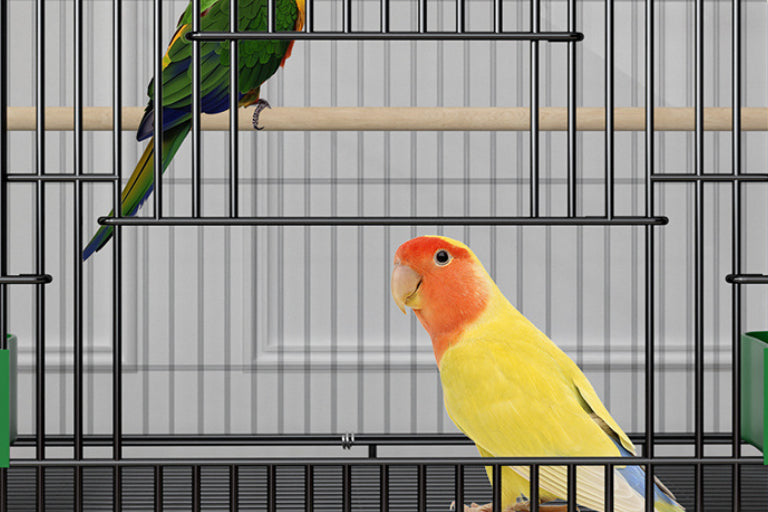 Double Layer New Bird Cage