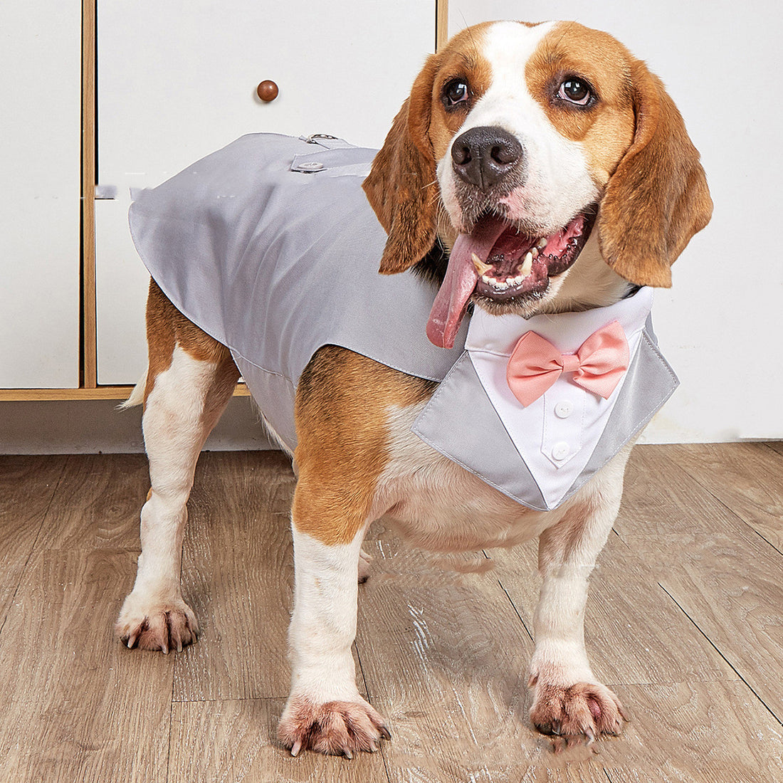 Pet Swallowtail Wedding Clothing Suit Jacket