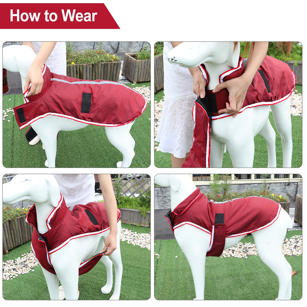 Autumn And Winter Warm Pet Leisure Waterproof Jacket